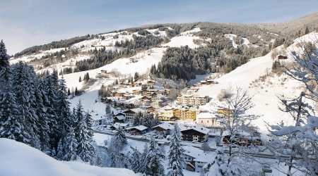 Wintersport Viehhofen